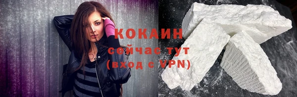 соль ск Богданович