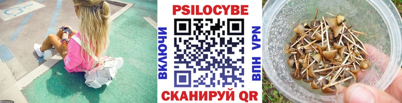 Купить где  Сковородино  Псилоцибиновые грибы прущие грибы 