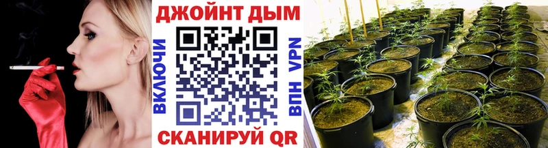 Марихуана семена  Купить  Сковородино 